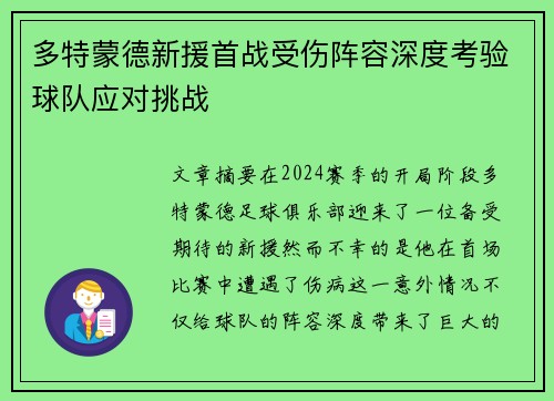 多特蒙德新援首战受伤阵容深度考验球队应对挑战